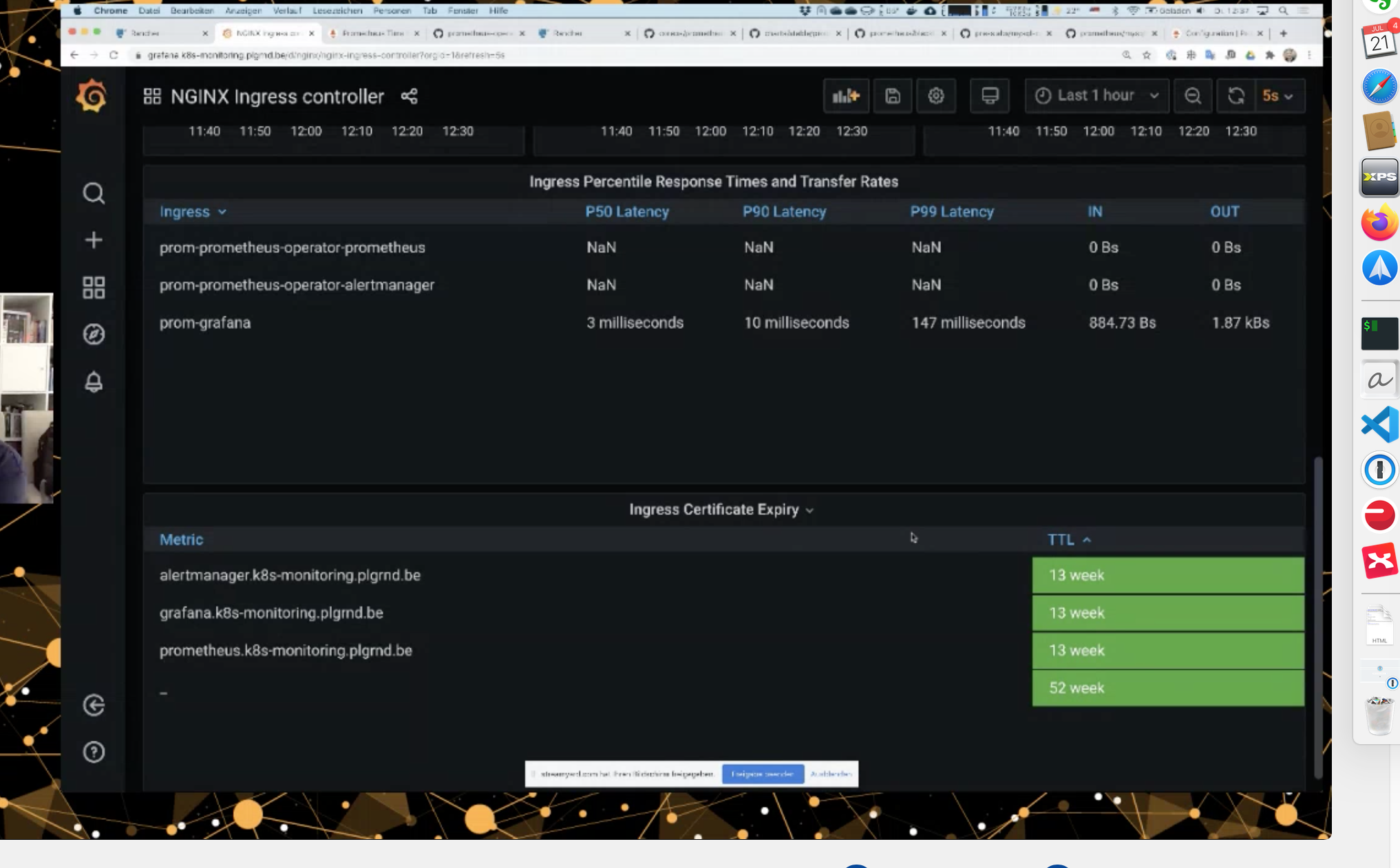 Grafana Ingress Latenz